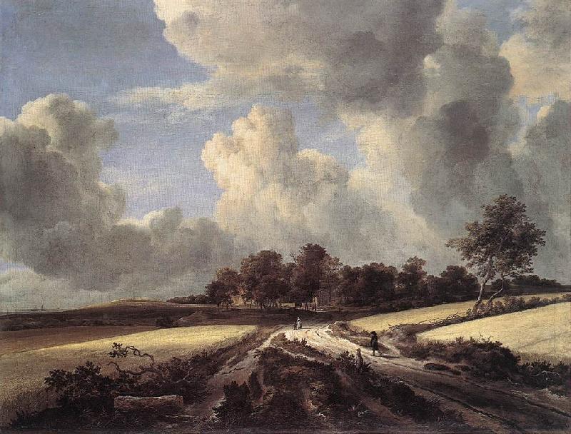 Jacob van Ruisdael Wheat Fields oil painting image